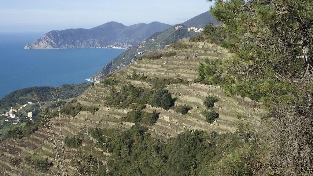 Hébergement de vacances Villa Tra Er Boscu Er Maa à Volastra Italie